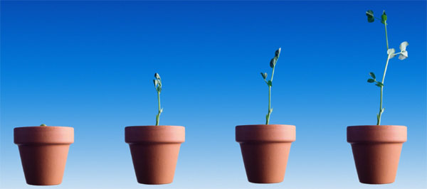 Lead Nurturing Tips