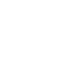 twitter-logo-button