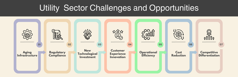 Challenges in Utility Sector