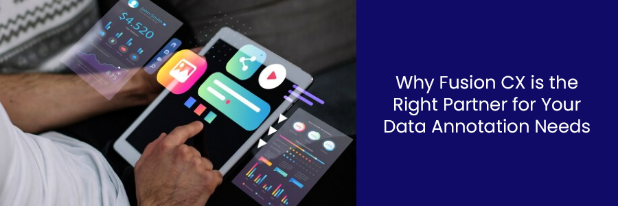Challenges in Data Annotation