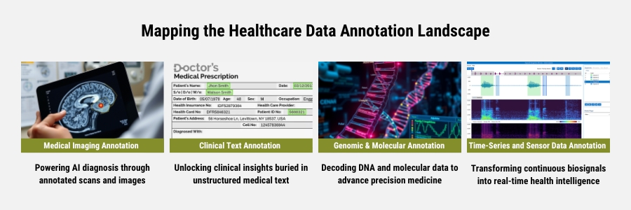 Landscape of healthcare data annotation